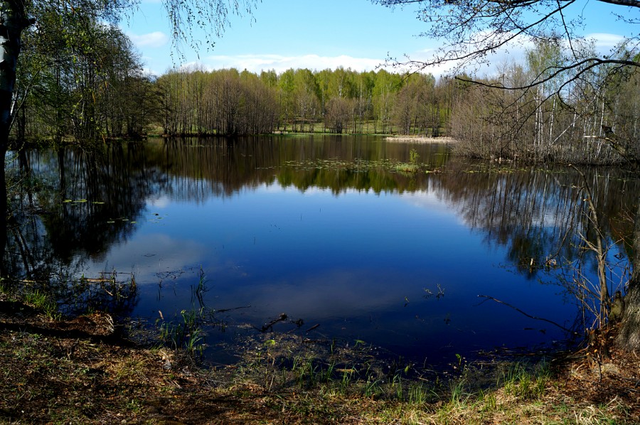 Безымянное озеро у села Невадьево фото 2