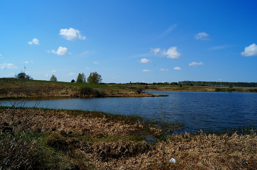 Озеро Мышиное (Мышаное) у дороги Кубаево-Хвощевка (Богородский район)