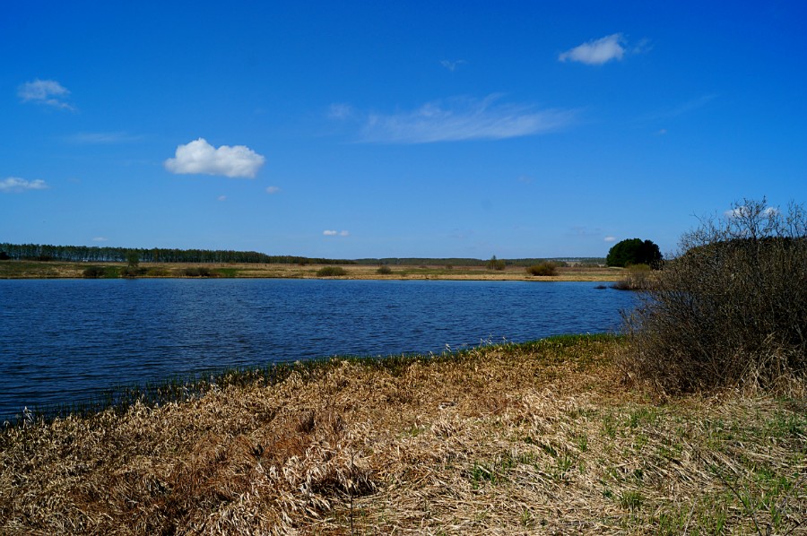 Озеро Мышиное (Мышаное) у дороги Кубаево-Хвощевка (Богородский район) фото 2