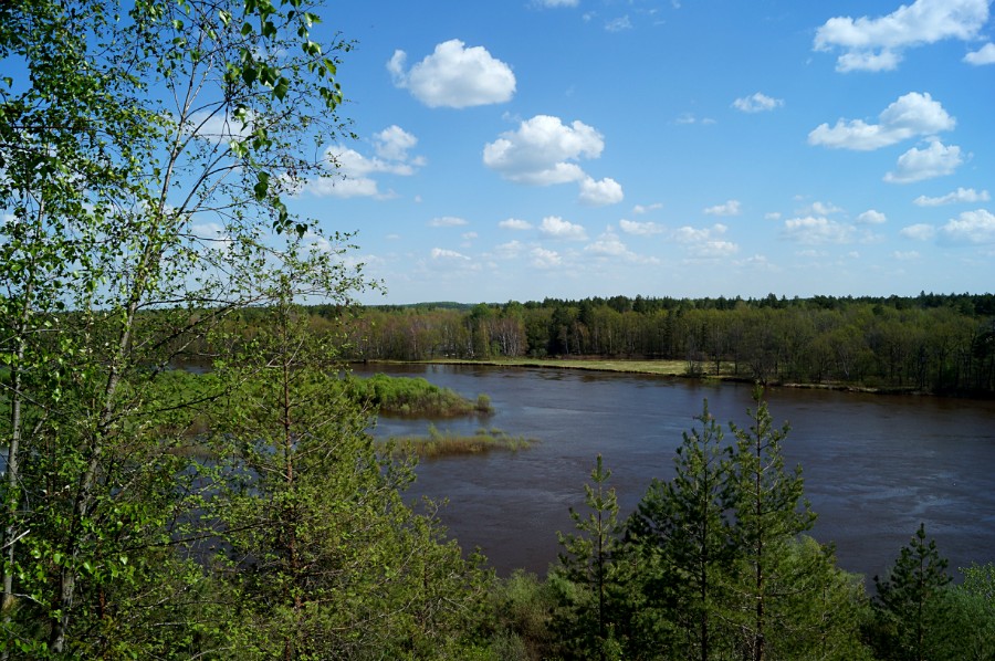 Ветлуга Нижегородская Область Знакомства