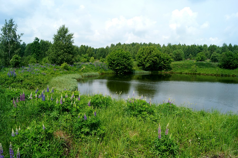 Безымянное озеро к северо-западу от с. Невадьево (фото 2)
