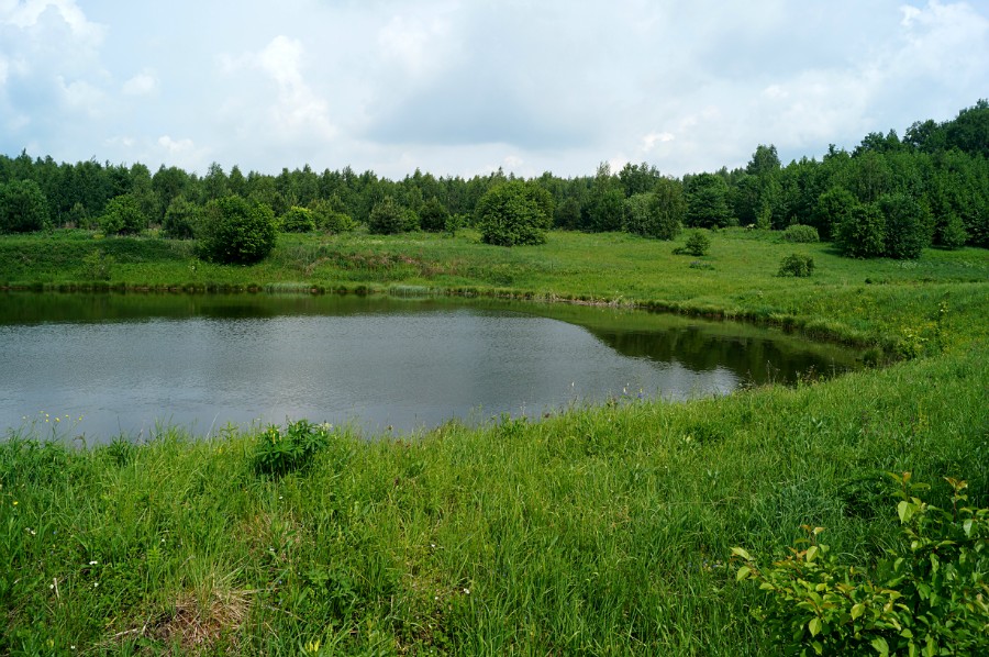 Безымянное озеро к северо-западу от с. Невадьево (фото 3)