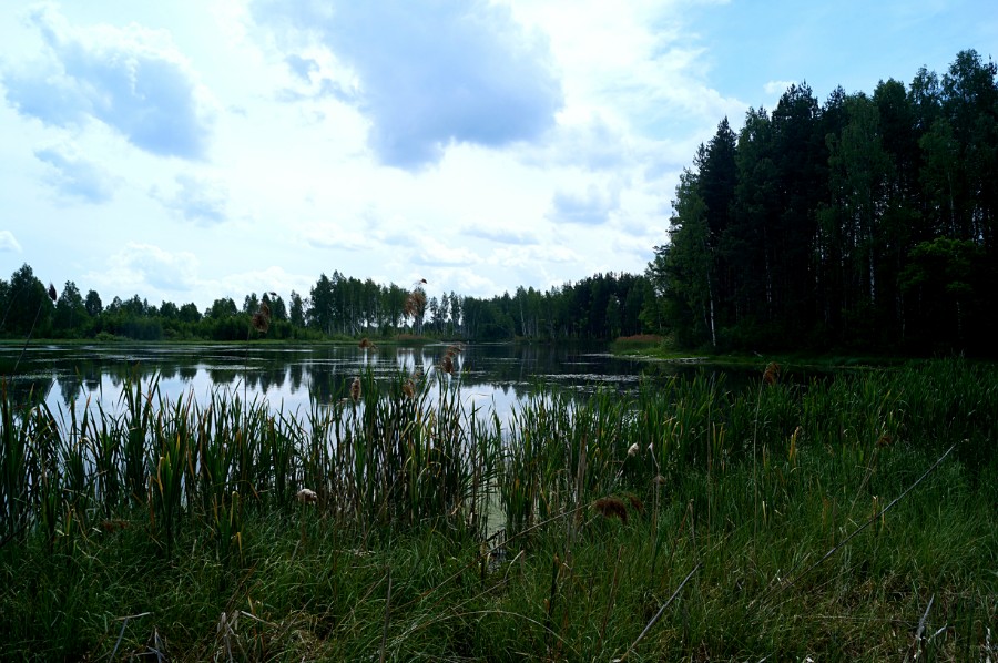  Безымянное озеро к югу от с. Невадьево