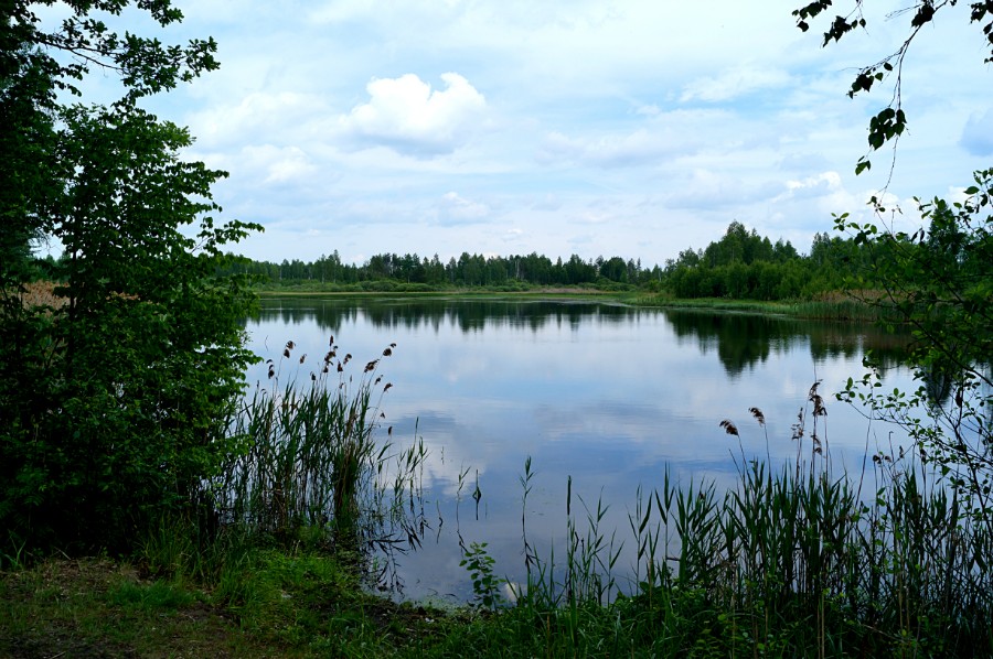  Безымянное озеро к югу от с. Невадьево (фото 2)