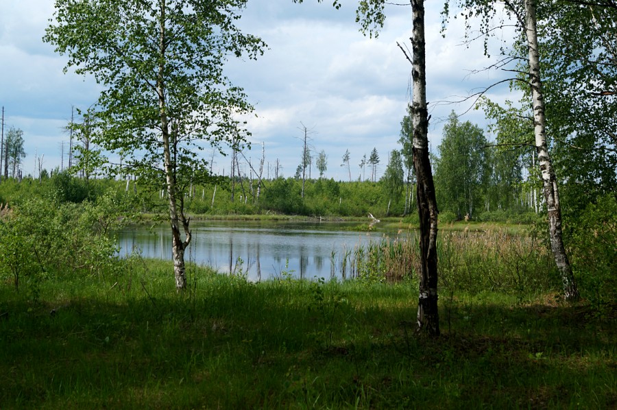 Стоянка на еще одном безымянном озерце к югу от Невадьево