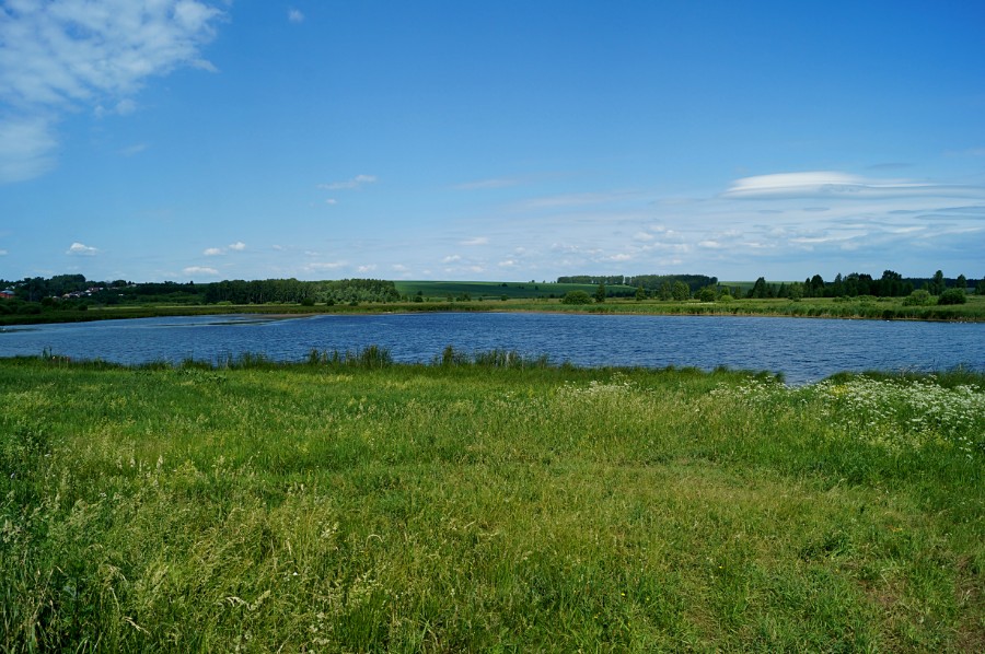Озеро Черное Болото (Павловский район)