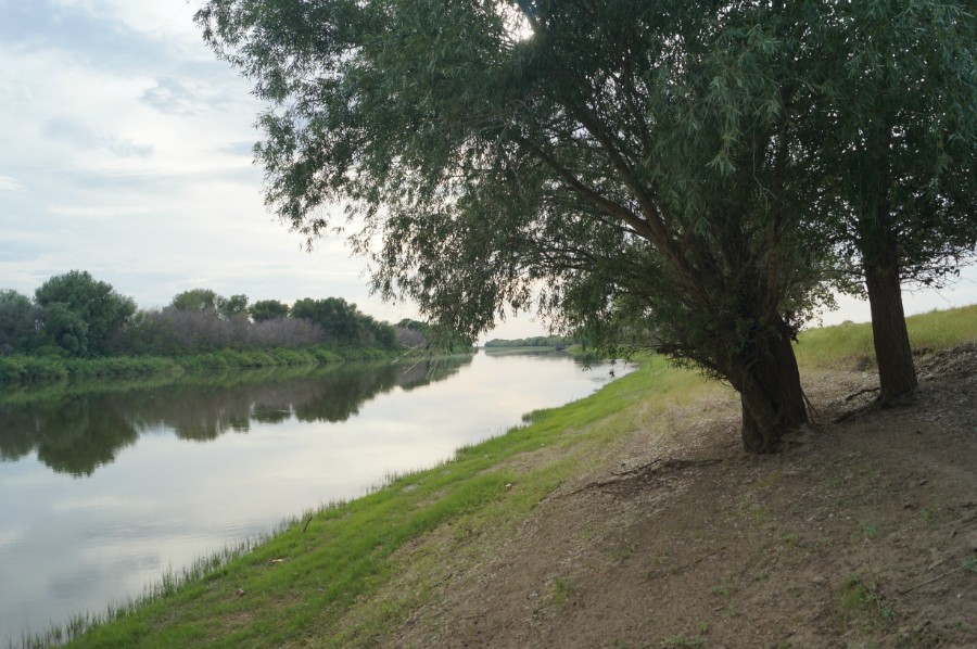 На берегу реки Подстепка - одно из ответвлений реки Ахтуба