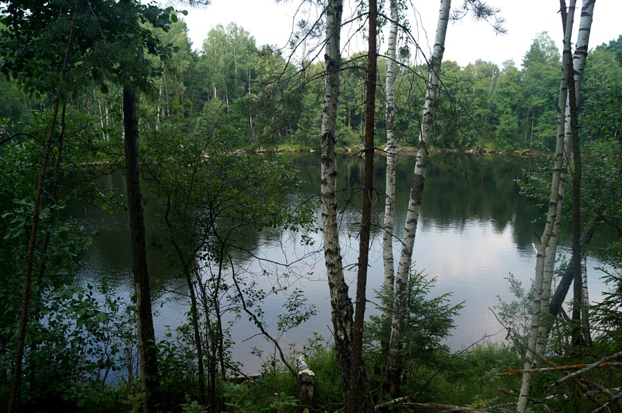 Безымянное озеро в 1 км к востоку от Петрова моста
