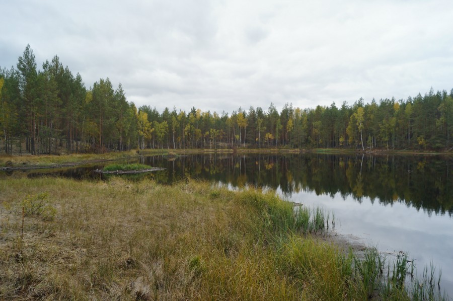 Безымянное озеро по дороге Арзамас-Первомайск фото 2