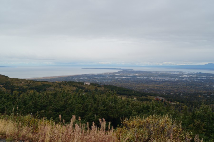        Flattop lookout,  2