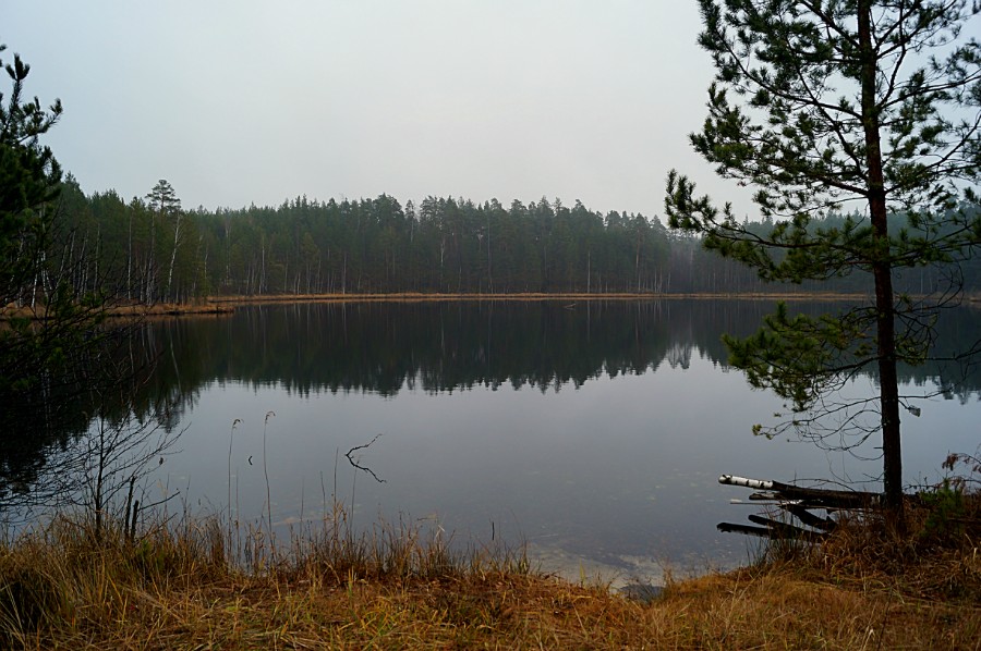 Вид на озеро Малая Унзовка (восточное) с северной стояки