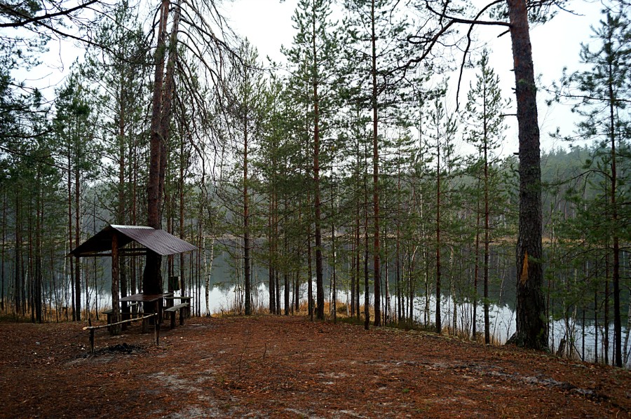 Восточная стоянка озера Малая Унзовка (восточное)