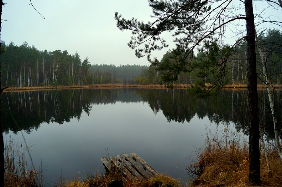 На восточной стояки на озере Малая Унзовка (восточное)