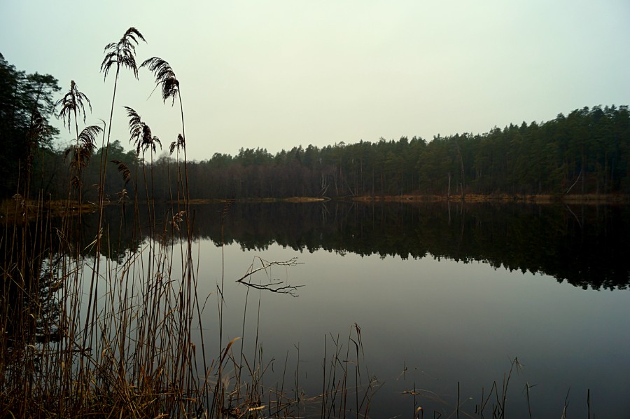 Озеро Малая Кривовка в 2019 г.