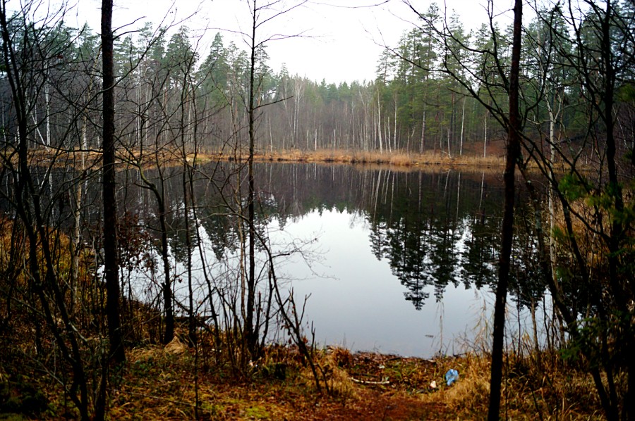 Безымянное озерцо к северу от озера Большая Кривовка