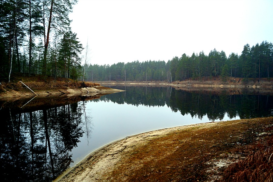 Западный залив озера Киркидеево (Большое) в 2019 г.