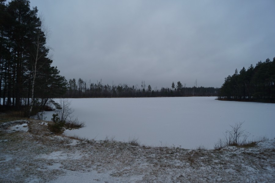 Озеро Пуреш (Пурёшево) зимой