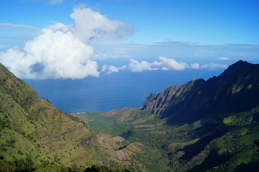   (Kalalau)