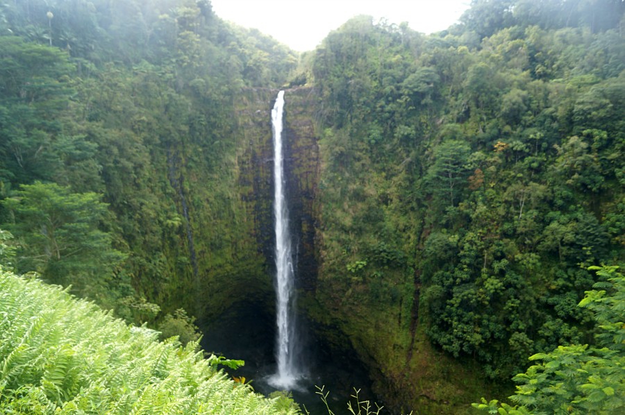   (Akaka Falls)