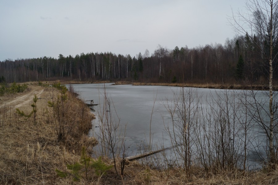 Плотина с дорогой на Владимирском пруду