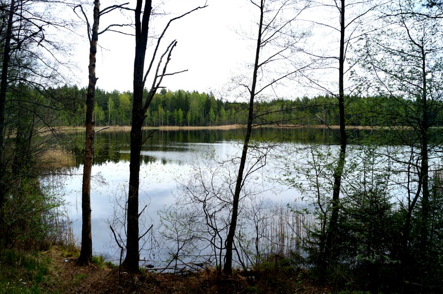 Озеро Малое Святое (Дедовское) с северо -запада