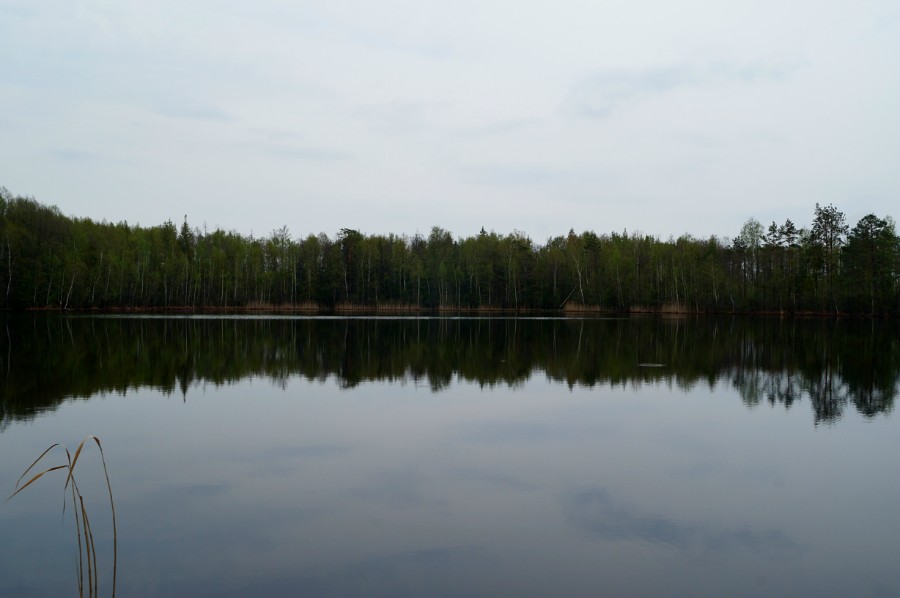 Озеро Катюрево в мае