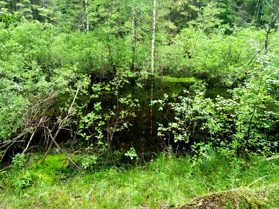 Пожарный водоем у границе Нижегородской и Костромской областей. Рядом сухая насыпь с местом для стоянки