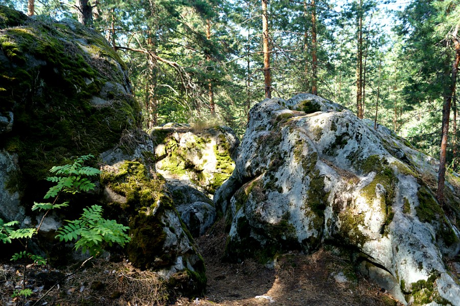 Каменные лабиринты. Скрипинские Кучуры