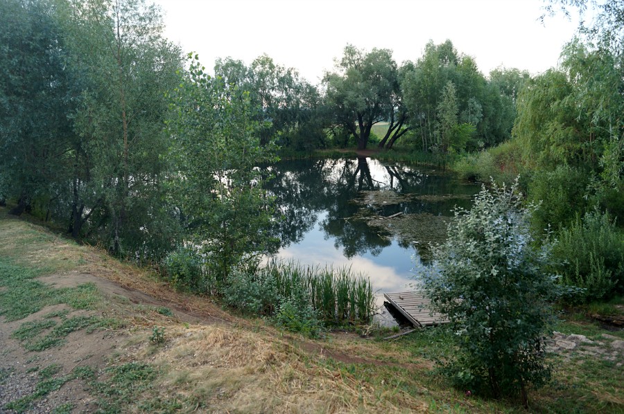 Озеро с чистой водой у родника 