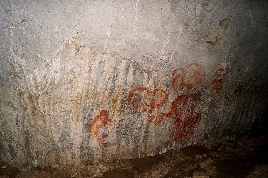 Наскальные рисунки в КАповой пещере - подделка, настоящие на втором ярусе туристам не показывают и вход туда закрыт