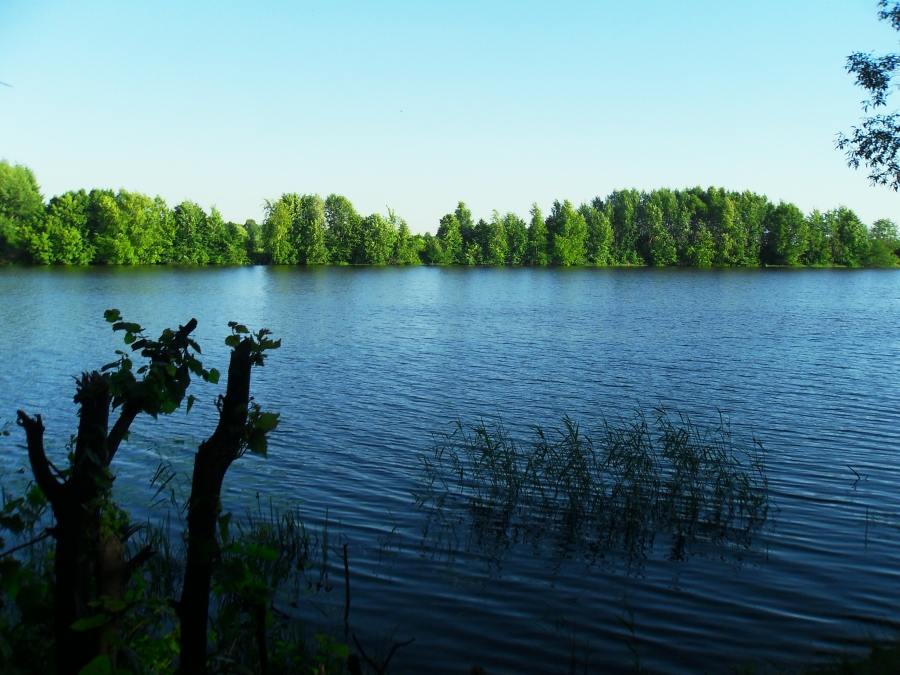Озеро Среднее. Фото 1