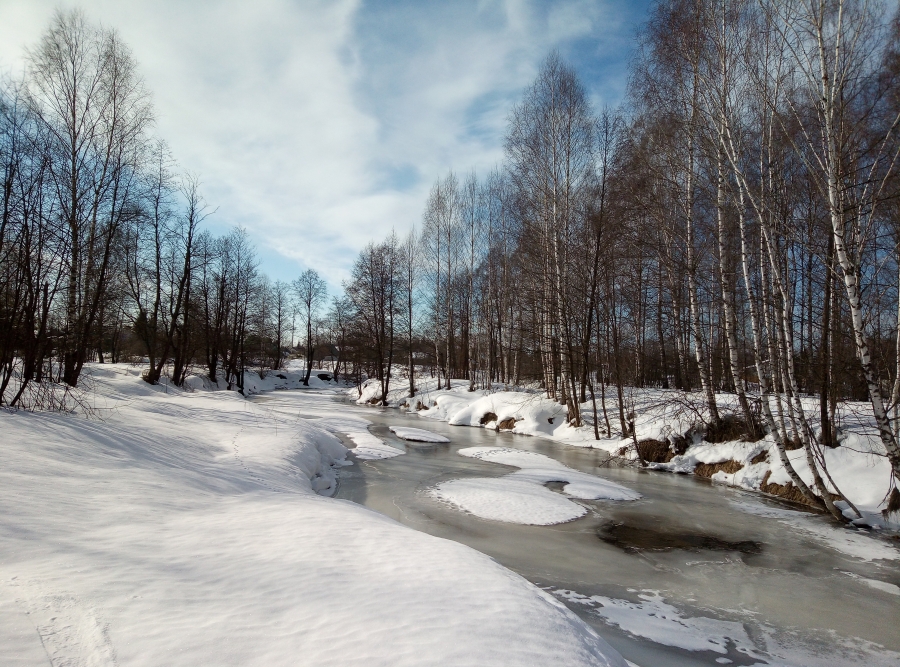 Мартовский день. Вверх по берегу реки. Кеза выше д. Лунино. Фото 1
