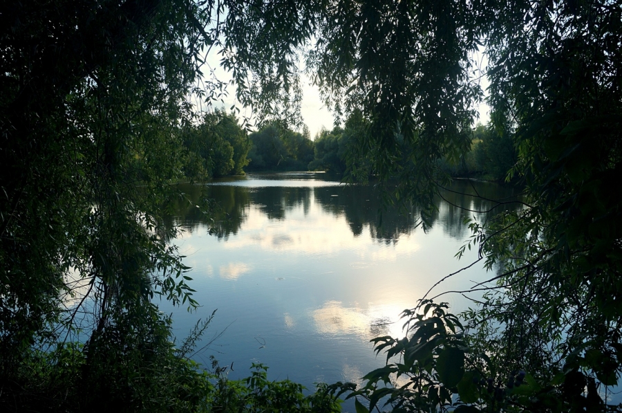 Вид на пруд в д. Четвертого с плотины
