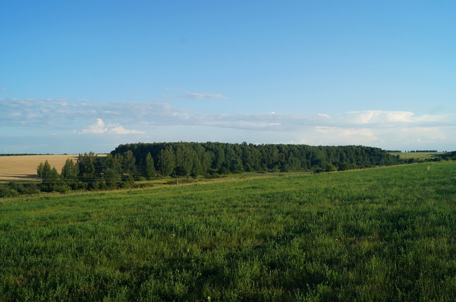 Вид на леса-парк на правом берегу реки Иржа напротив с. Юсупова