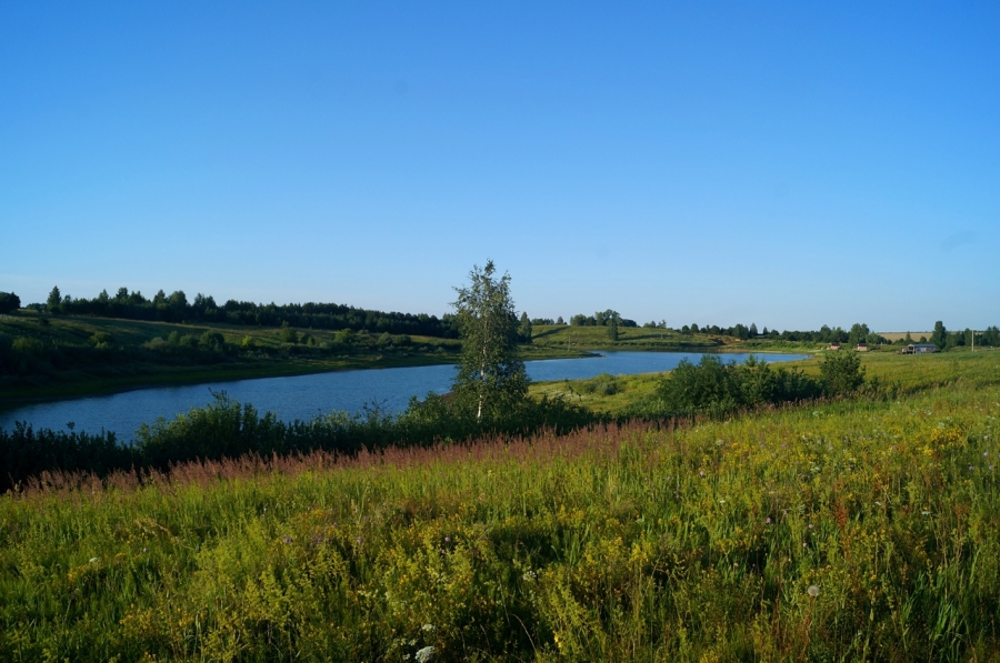Платный пруд на реке Селей у д. Малиновка