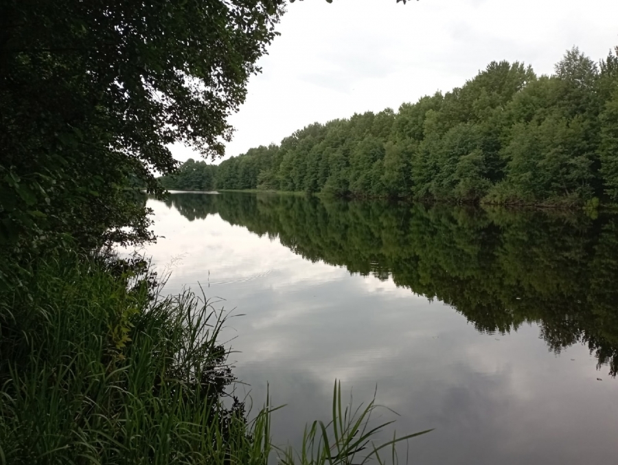 Рязанское озеро Бобровка