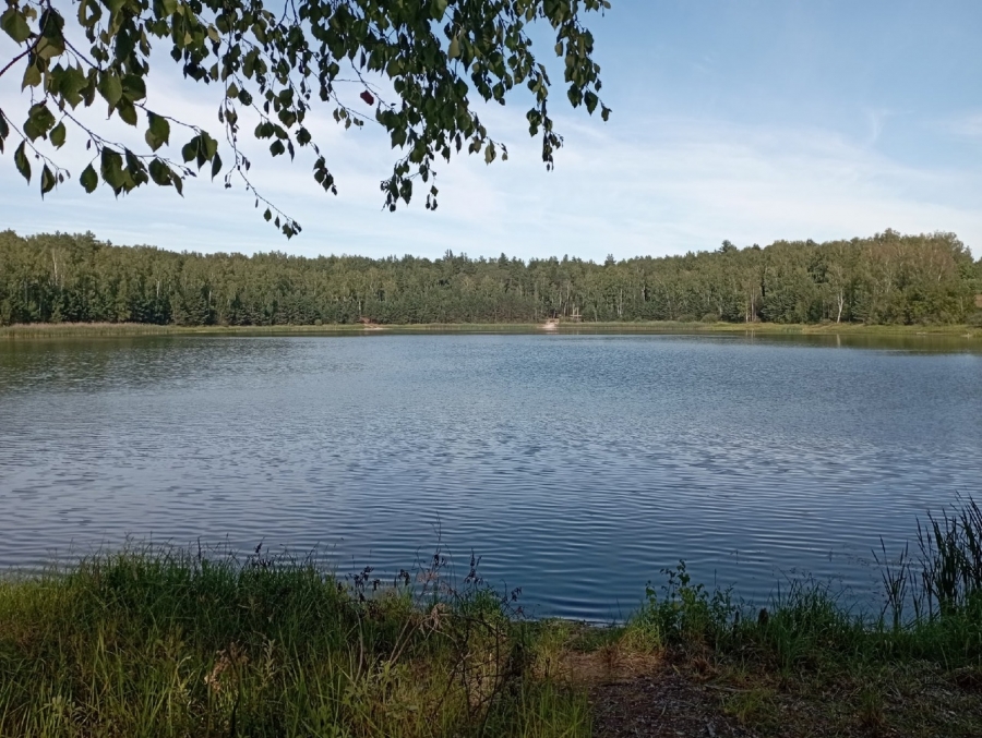 Замечательное озеро Грачи (карасёво). Рязанская область)