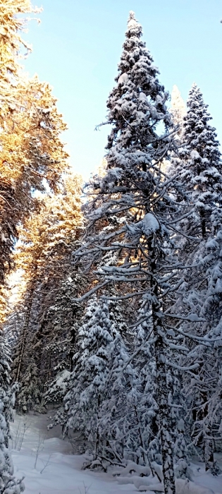  -30 