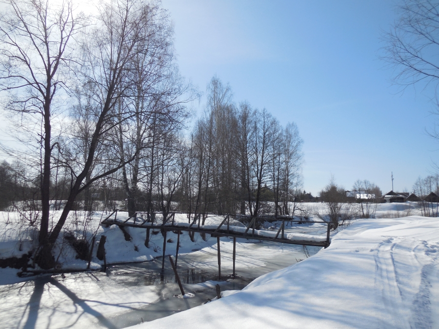 Кеза у деревни Лунино в марте. Фото 2