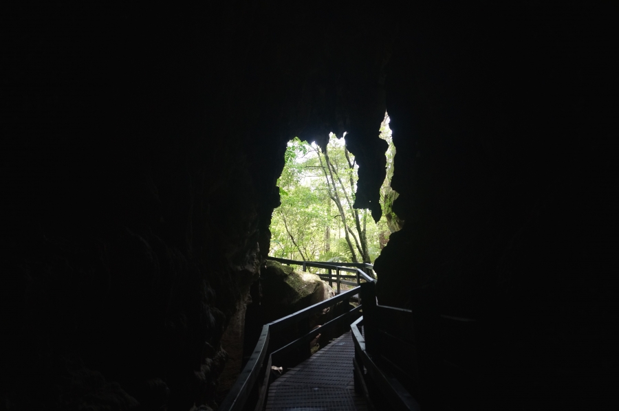    Kawiti Glowworm 