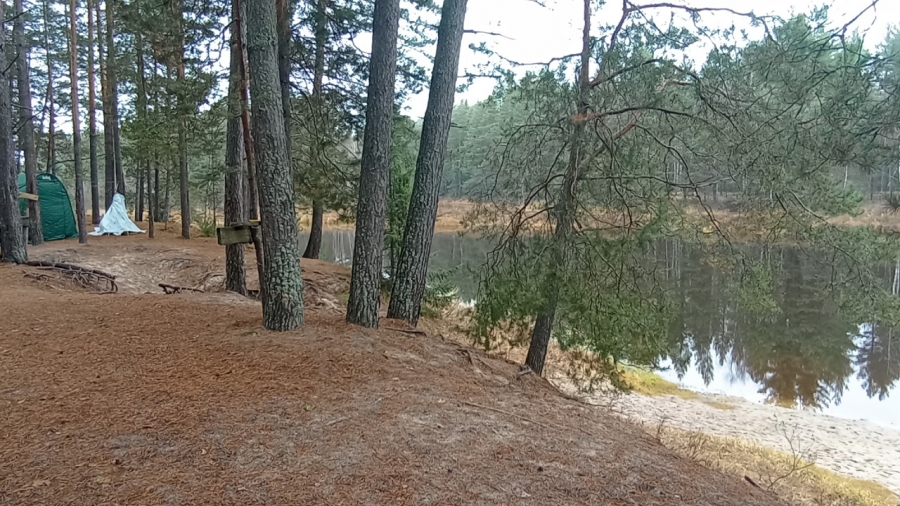 ��� � ������� "����-����"