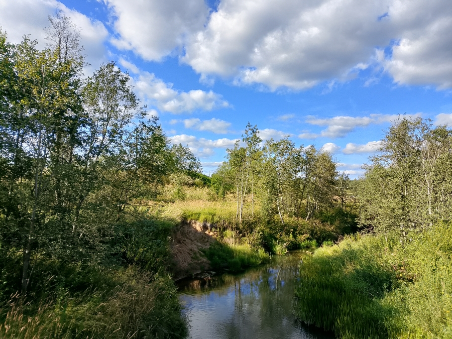 ���� ��������� � ���� ���������. ���� 1