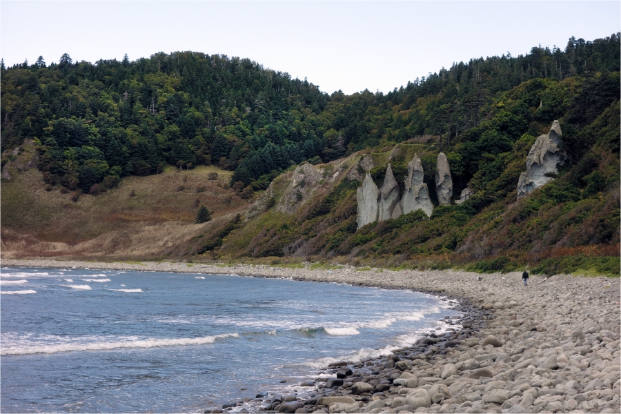 "����������"