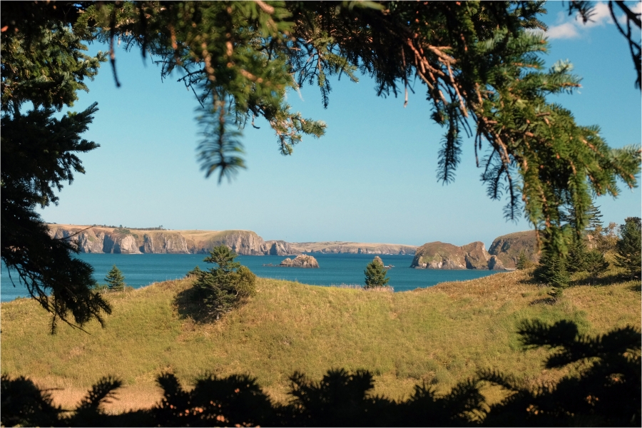 � ������ ����� 