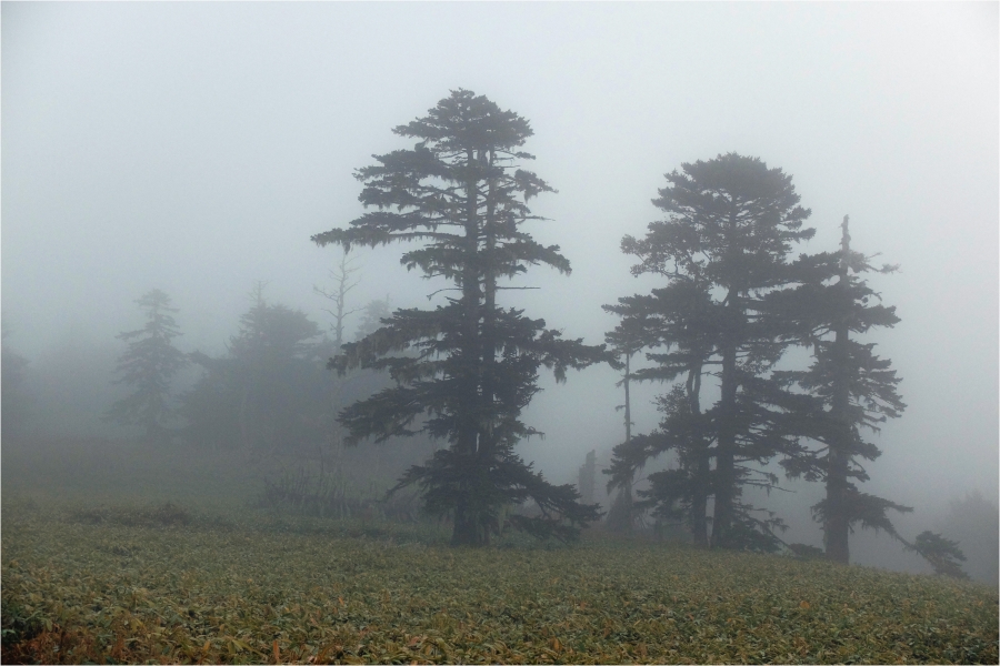 �������� ������� 2