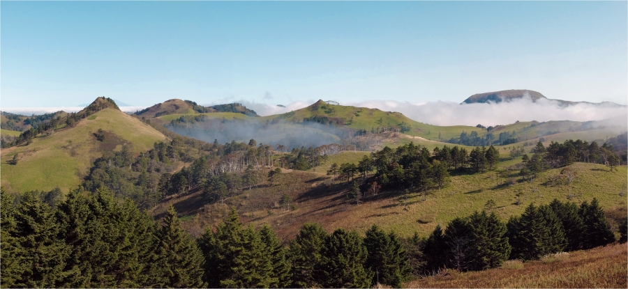 �������� �������