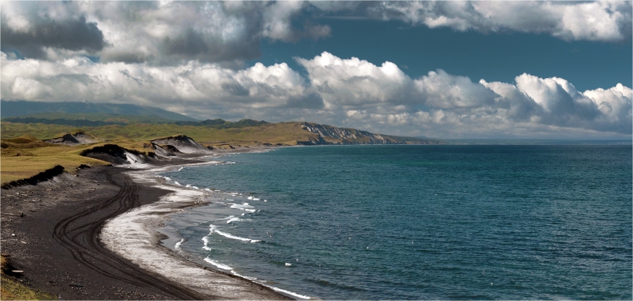 ������ ������