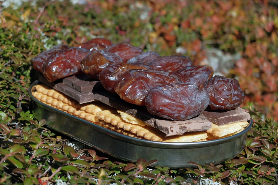 �������� ��������