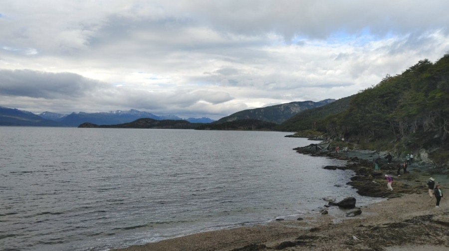 ���������� � ������� ����