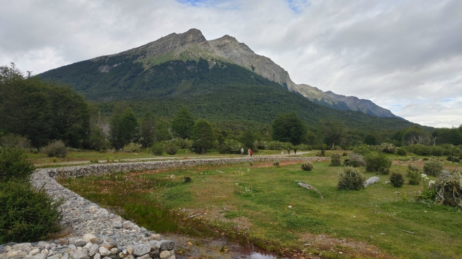 �������� � ������������ �����